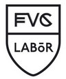 FVG Labor- Laboratori di lavoro giovanile